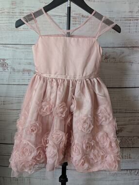 Blush Pink Party Dress Girls 6X 3D Floral Rosette Glitter Tulle Princess Gala